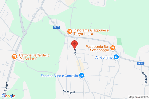 Arrighi Assicurazioni