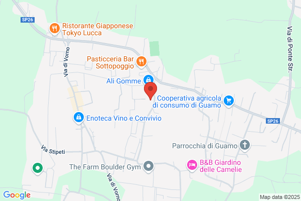 Autocarrozzeria Nuova Oasi