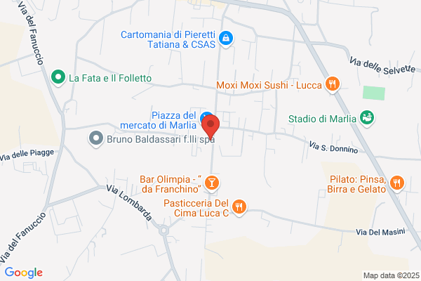 Soc. Coop. La Fenice Arl