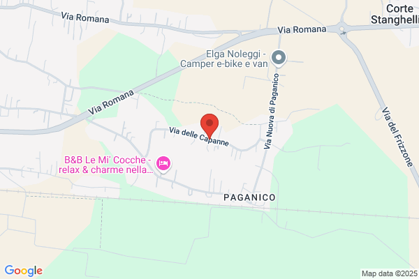 Picchi romano