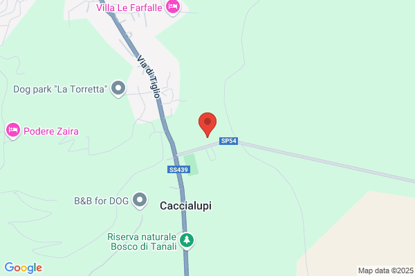 Officina Meccanica Pagni Luciano
