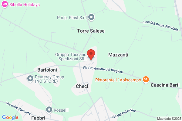 Gruppo Toscano Srl