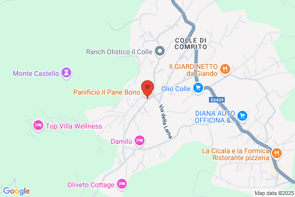 Panificio Bettini Snc