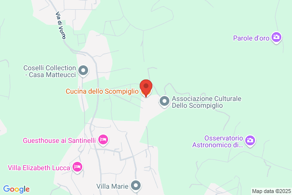 Schimizzi pasqualina