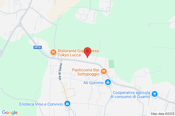 Cooperativa di Pulizie e Facchinaggio Luigi Morelli