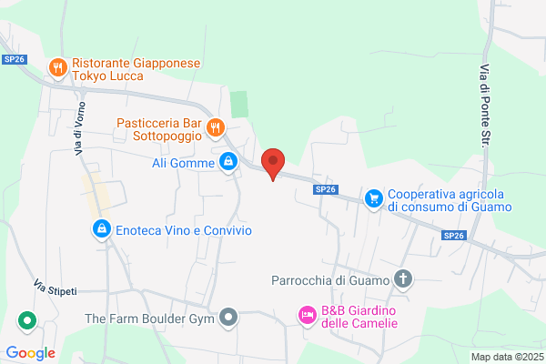 Vv Nolo Noleggio