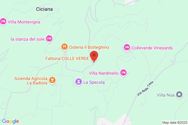Fattoria Colleverde Srl