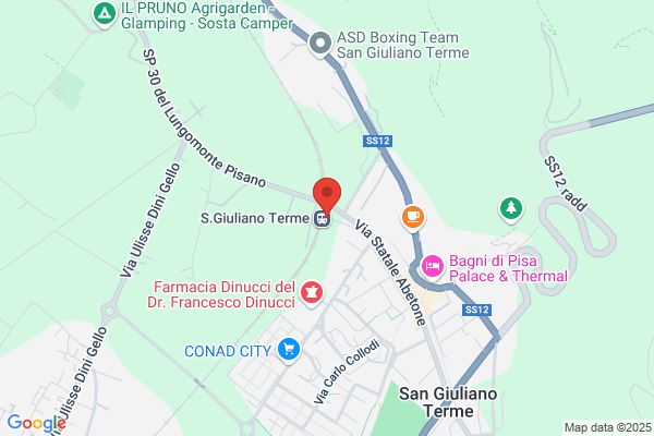 Pisani giuliano