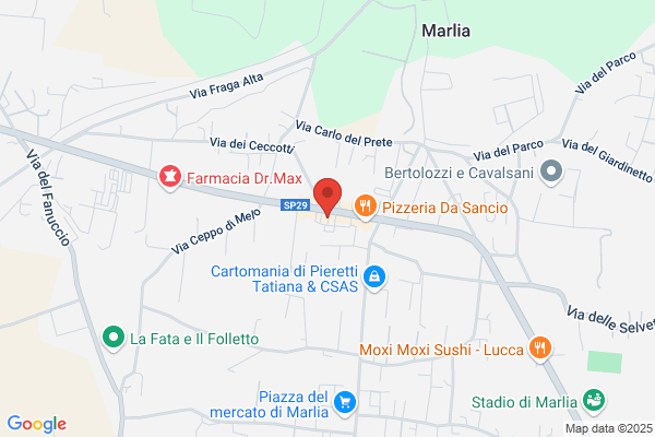 Societa Per Lesercizio Della Ditta Caselli Enrico (S.R.L.)