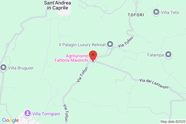 Fattoria Maionchi