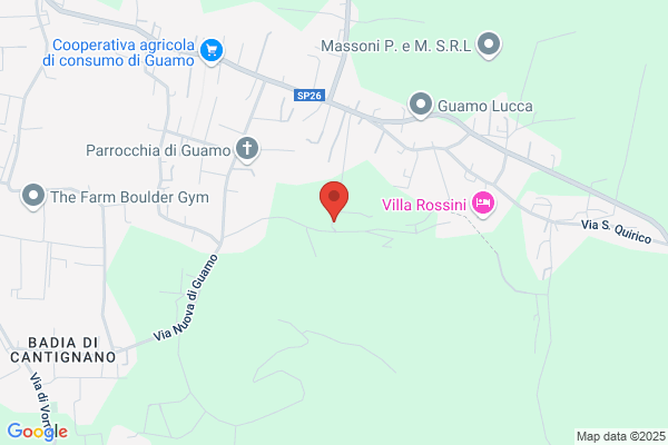 Bandieri olimpia