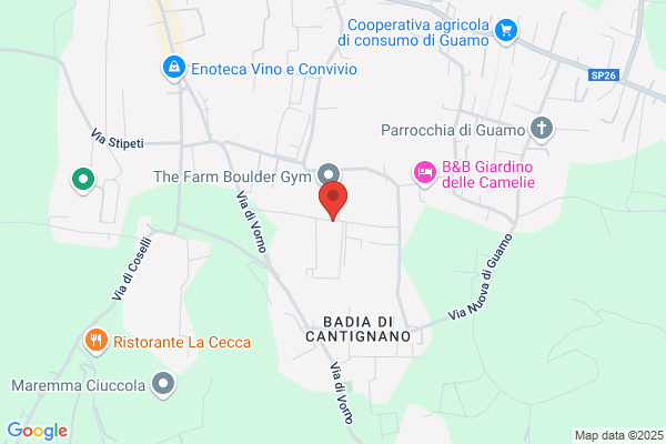 Grafiche Guidotti Srl