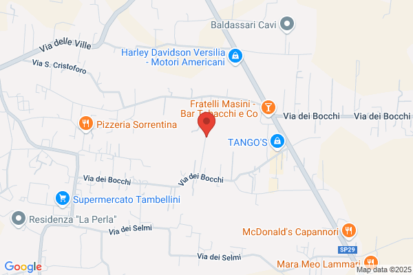 Calzaturificio Venezia Srl