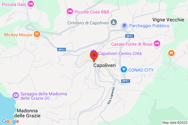 Agenzia Di Viaggi E Turmo Orplid