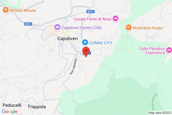 Agenzia Viaggi Arrighi