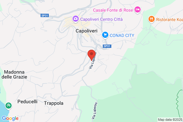 Appartamenti Holiday In