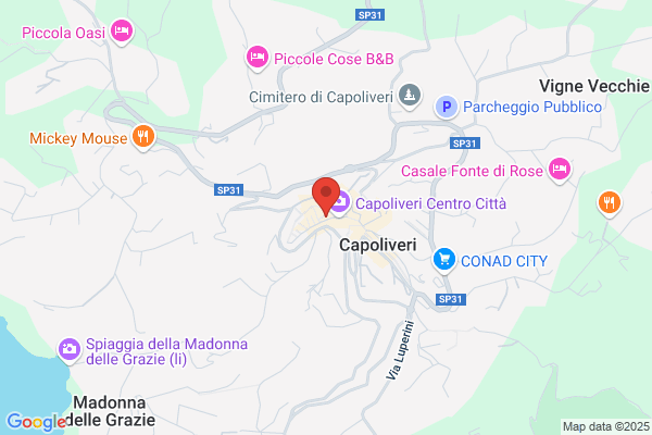 Orso Pelle Di Perra Teresa