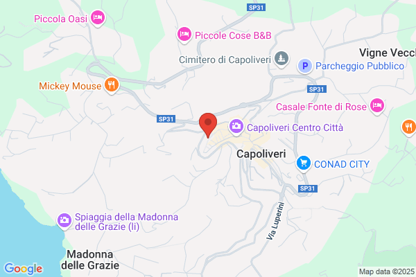 Ristorante Il Rostro
