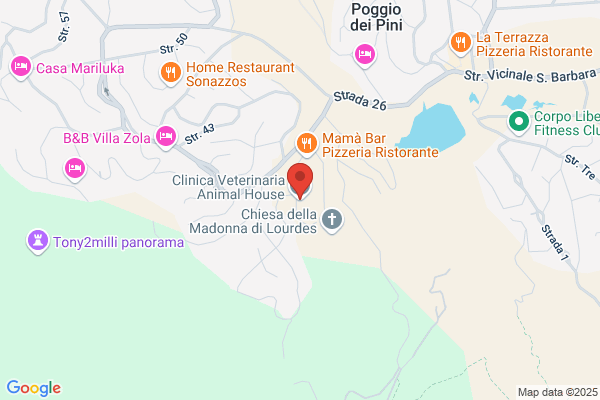 Clinica Veterinaria Animal House