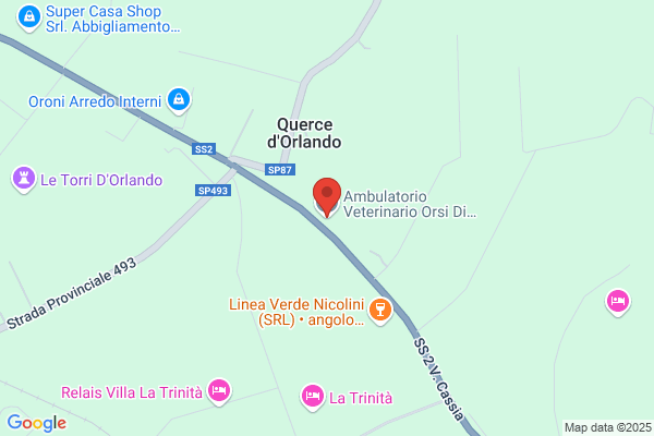 Ambulatorio Veterinario Dott. Francesco Orsi