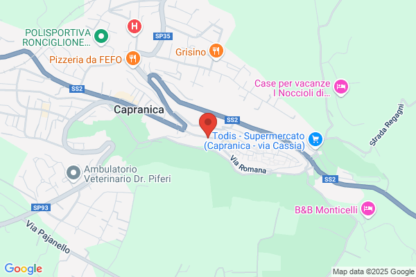 Hotel Capranica