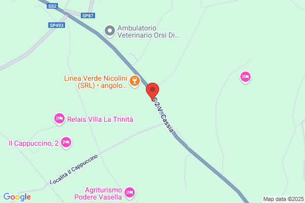 Linea Verde Nicolini (S.R.L.)