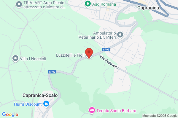 Luzzitelli angelo