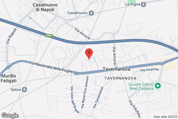 Palestra Ever Green