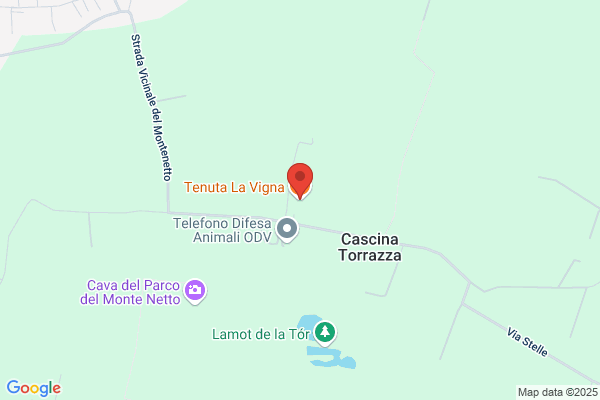 Vanità