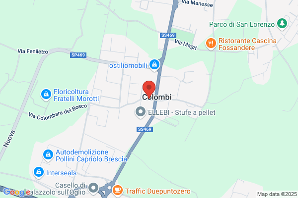 Sangalli michele