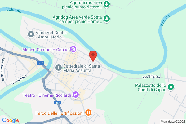 Scuole Pubbliche/Scuola Media Pier Delle Vigne