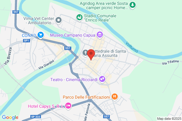 Ispettorato Principale Alleanza Assicurazioni