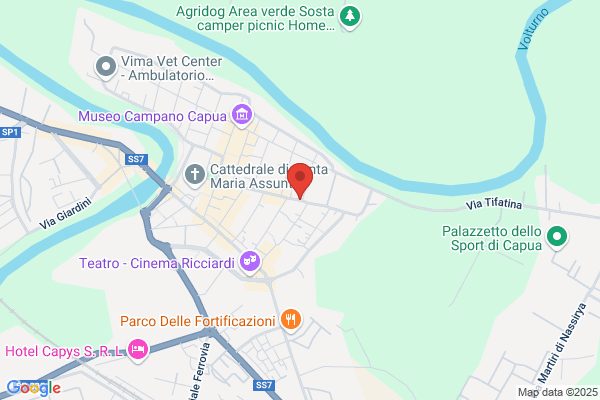 Studio Legale Salemi Spano