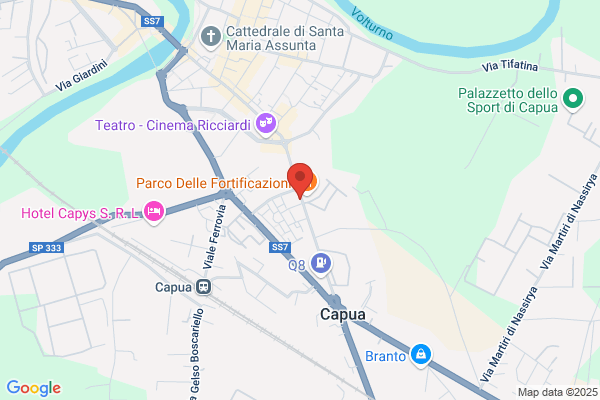 Ferrone Ciro