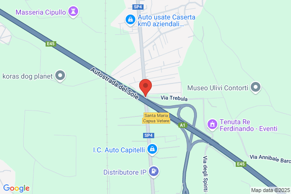 Festante Aldo
