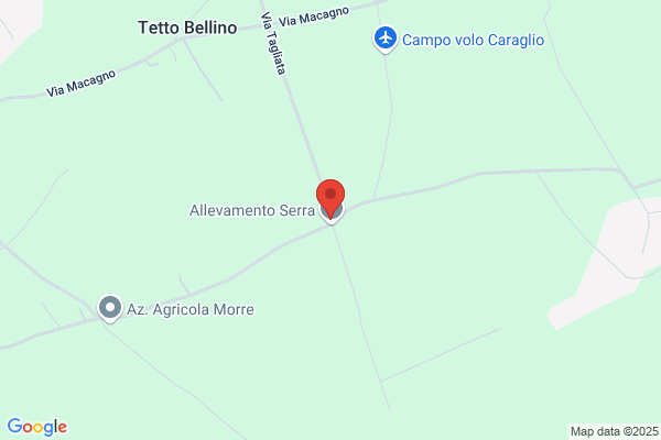 Molineri aurelio