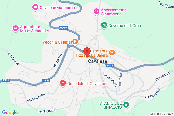 Hotel Orso Grigio