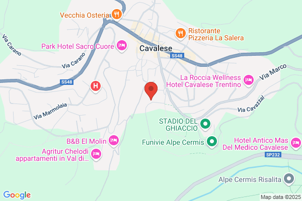 L'Hotel Grunwald CAVALESE