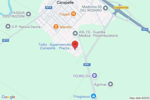 Todis - Supermercato (Carapelle - Piazza Sicilia)