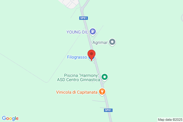 Filograsso Srl