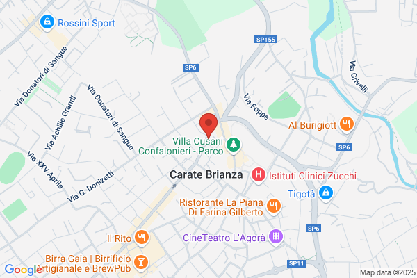 Elisa Srl