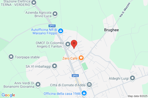 C.A.M. Costruzioni Aeromeccaniche Milanesi