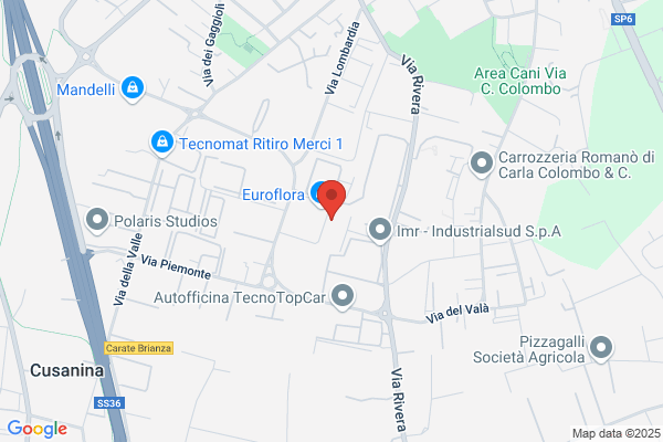 Gi Pi Plast Srl