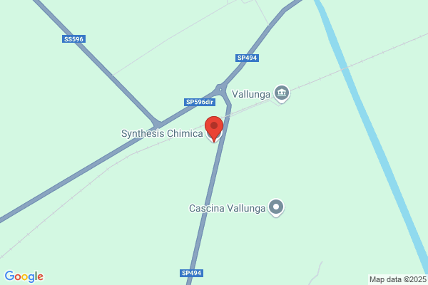 Synthesis Srl