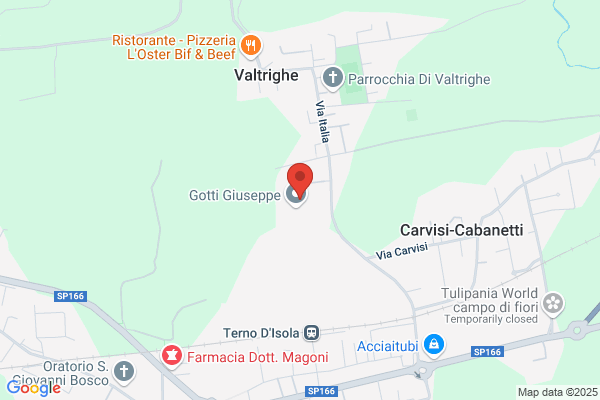 Elettrica