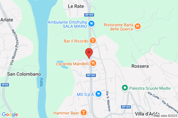 Losa dario