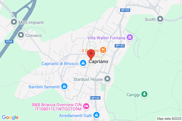 Manzocchi roberto