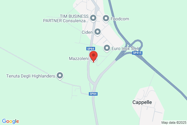 Mazzoleni livio