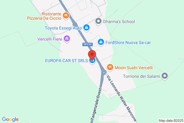 Autogrillo