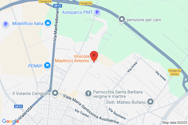 Mastricci teresa